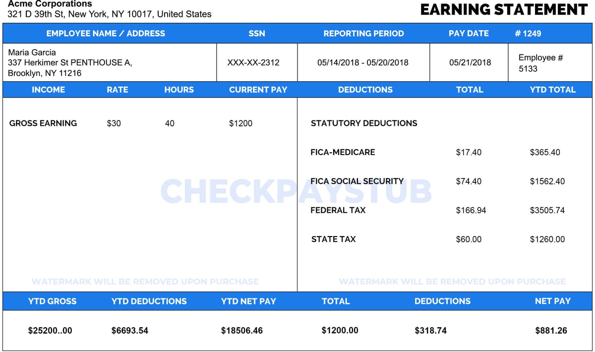 Check Paystubs Template-1