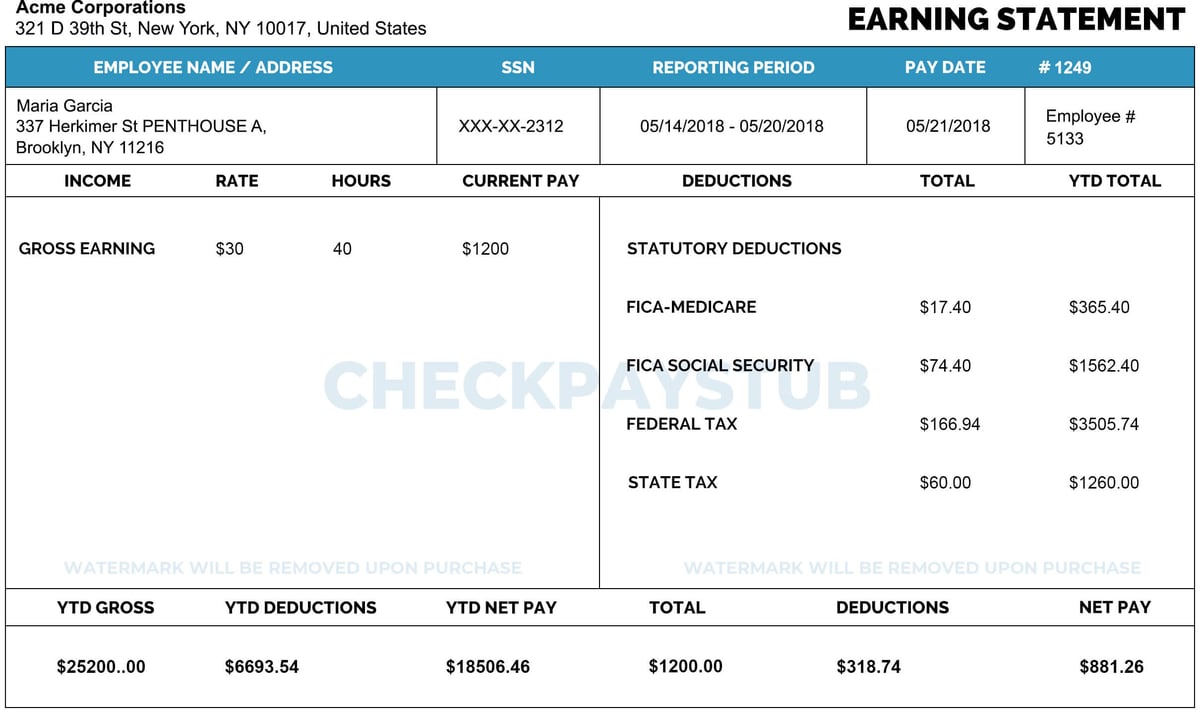 Check Paystubs Template-2