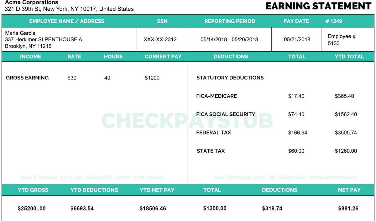 Check Paystubs Template-3