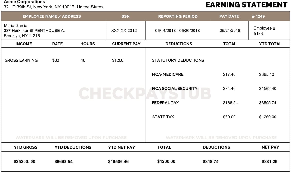 Check Paystubs Template-4