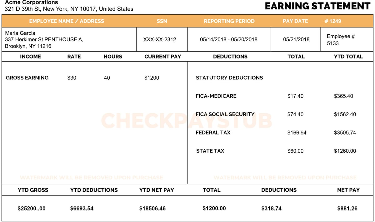 Check Paystubs Template-5